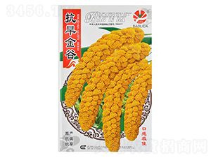 �������-���ӷN��