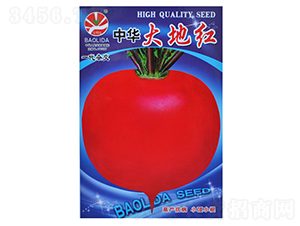 ��ؼt-�}���N��