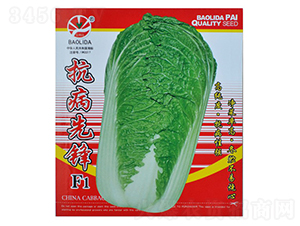 �������hF1-��˷N��