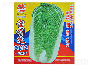 �����_(d��)91��12-��˷N��