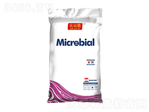 ��ɽ�ܴ����25-17-9-ïʢ����