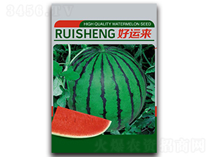 ���\��-���ϷN��-����