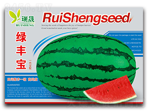 �G�S��-���ϷN��-����