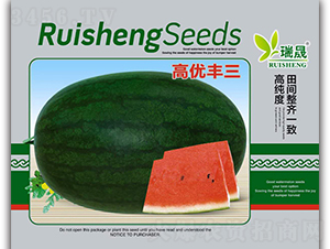 �߃�(y��u)�S�����ϷN��-����