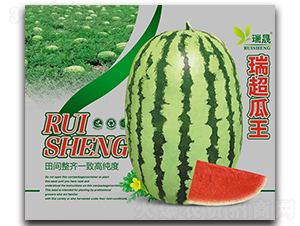 �𳬹���-���ϷN��-����