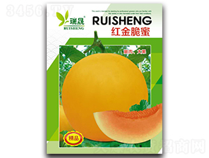 �t�����-��ϷN��-����