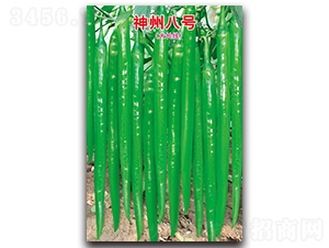 ���ݰ�̖(h��o)F1-�����N��-ʒ�зN�I(y��)