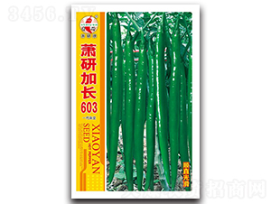 ʒ�м��L(zh��ng)603-�����N��-ʒ�зN�I(y��)