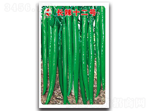 �L(zh��ng)��ʮ��̖(h��o)-�����N��-ʒ�зN�I(y��)