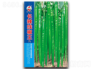 �L(zh��ng)��������-�����N��-ʒ�зN�I(y��)