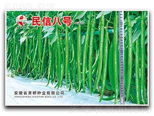 ���Ű�̖(h��o)-�����N��-ʒ�зN�I(y��)