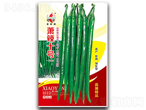 ʒ��ʮ̖(h��o)-�����N��-ʒ�зN�I(y��)