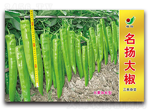 ���P(y��ng)��-�����N��-ʒ�зN�I(y��)