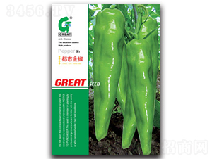 ���н�-�����N��-�V��