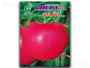 ����(j��)�R��-���ѷN��-�V��