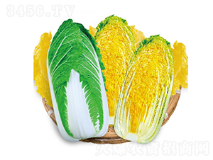 ��ʿ�������޲�-���޲˷N��-��Ʒ�r(n��ng)�I(y��)