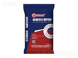 ̼����I�B(y��ng)��12-0-3-�������-�м�������