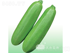 ��������208F1���߮a(ch��n)��G���������J��-�����J�N��-�֠���˹