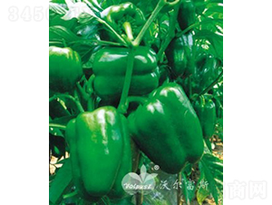 �G��ʹF1���߮a(ch��n)������Ʒ�N��-�𽷷N��-�֠���˹