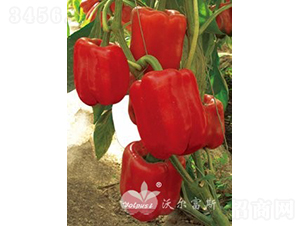 �t�_��F1���M�ھG�D(zhu��n)�t��Ʒ�N��-�𽷷N��-�֠���˹