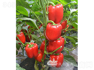 �t�_��F1���紺�����Ӽ�Խ���߮a(ch��n)�tɫ�𽷣�-�𽷷N��-�֠���˹