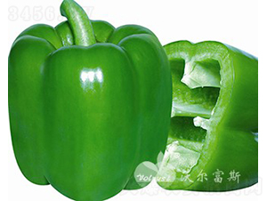 ��ӯһ̖F1�����ﱣ�o�ظ߮a(ch��n)����G�𽷣�-�𽷷N��-�֠���˹