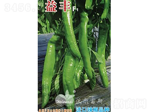 ���SF1���M���������������-�����N��-�֠���˹