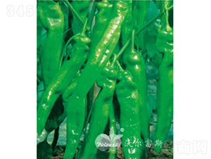 ����������F1���߮a(ch��n)�����������-�����N��-�֠���˹