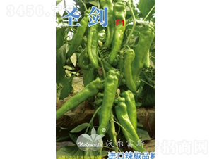 ʥ��F1���M�ڴ��L�����������-�����N��-�֠���˹