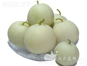 �ڝ�F1�����챡Ƥ��ϣ�-��ϷN��-�֠���˹