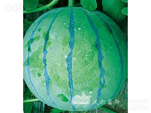 �f��F1���߮a(ch��n)��Ƥ�����������Ʒ�N��-���ϷN��-�֠���˹