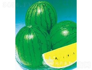 ���mF1���S��YƷ���ϣ�-���ϷN��-�֠���˹