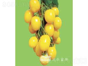 �ʹ�F1���SɫС���ѣ�-���ѷN��-�֠���˹