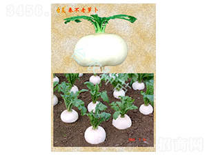 �������}��-�}���N��-�_�r(n��ng)�N��