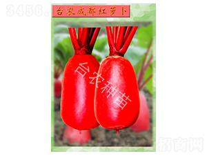 �ɶ��t�}��-�}���N��-�_�r(n��ng)�N��