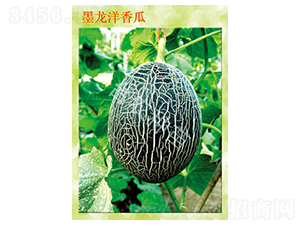 ī�������-��ϷN��-�_�r(n��ng)�N��