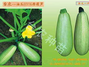 0316�����J-�����J�N��-�_�r(n��ng)�N��