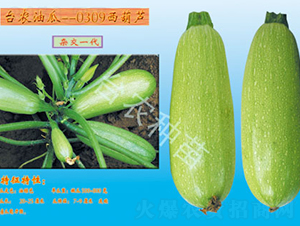 �_�r(n��ng)0309�����J-�����J�N��-�_�r(n��ng)�N��