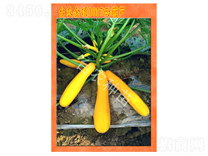 �_�r(n��ng)���1017�����J-�����J�N��-�_�r(n��ng)�N��