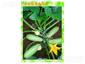 �_�r(n��ng)�G�������J-�����J�N��-�_�r(n��ng)�N��