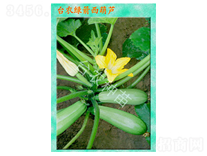 �G�������J-�����J�N��-�_�r(n��ng)�N��