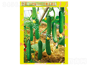 �_�r(n��ng)С���233ȫ���S��-�S�ϷN��-�_�r(n��ng)�N��