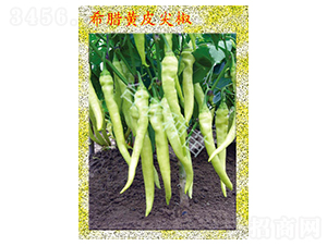 ϣ�D�SƤ�⽷-�����N��-�_�r(n��ng)�N��