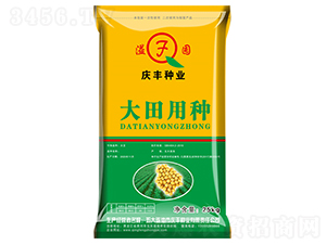 �����÷N-�󶹷N��-�c�S�N�I(y��)