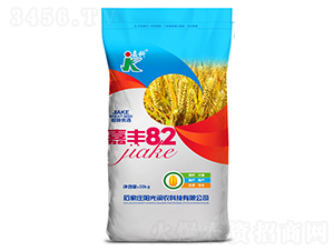 ���S82-С���N��-�ο�