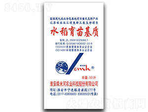 ˮ��������|(zh��)-���׺�