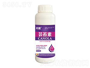 500g�g�ܡ��|̦��-����˹