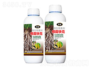 ΢�������-�������-�g��-����˹