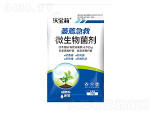 ΢�������-ή�輱��-�֌���-ȫ���S