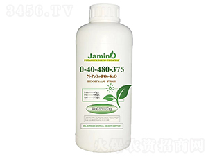 ϩ�����-�����Z-����Ԫ��